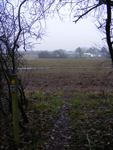 Footpath to Lonely Farm & Rendham Road