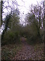 TM3469 : Segmore Lane footpath to the A1120 Badingham Road by Geographer