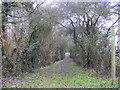 TM3470 : Bridleway to Lodge Farm & Mill Road by Geographer