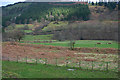 SH8513 : Route of old railway south of Dinas Mawddwy by Nigel Brown