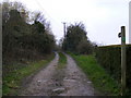 TM3865 : Footpath to Dorley's Corner by Geographer