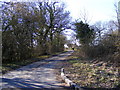 TM4072 : South Manor Lane, Bramfield by Geographer