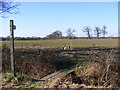 TM3869 : Footpath to Park Cottage & A1120 Yoxford Road by Geographer