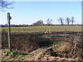 TM3869 : Footpath to the A1120 Yoxford Road by Geographer