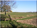 TM3868 : Footpath to the A12 Main Road & Old High Road by Geographer