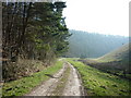 SE8255 : Up Deep Dale towards Mingledale Plantation by Ian S