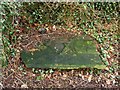 NS3975 : Gravestone in ruins of St Serf's Church by Lairich Rig