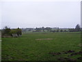 TM3675 : Footpath to the B1117 Halesworth Road by Geographer