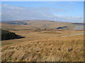  : Garsdale Common by David Brown