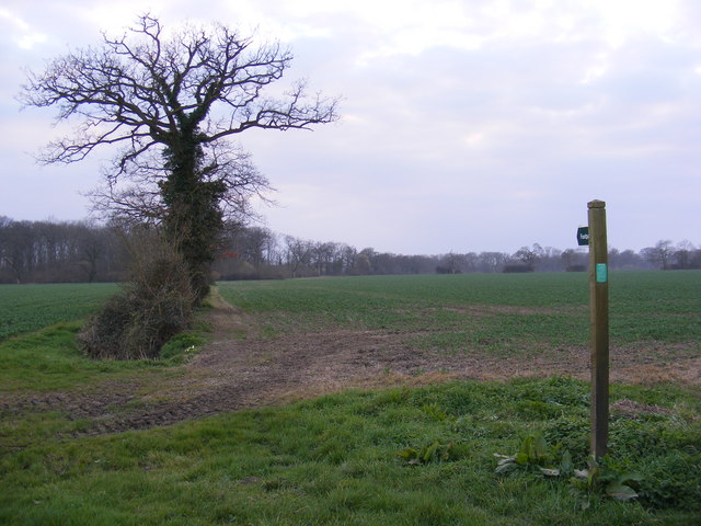 Footpath to Archer's Covert