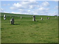 SU1069 : Stone Avenue, Avebury by nick macneill