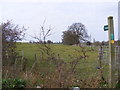 TM3859 : Footpath to Manor Farm & Aldercar Lane by Geographer