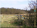 TM3759 : Footpath to Racewalk Covert & Gromford by Geographer