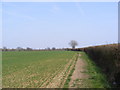 TM3762 : Footpath to the B1121 South Entrance by Geographer