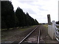 TM3758 : Railway Line to Wickham Market Railway Station by Geographer