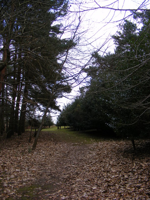 Footpath to Botany Cottage