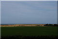 TF7643 : Looking towards the sea from Titchwell (set of 2 images) by Christopher Hilton