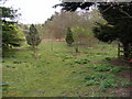 TM3660 : Footpath at Elm Tree Farm by Geographer