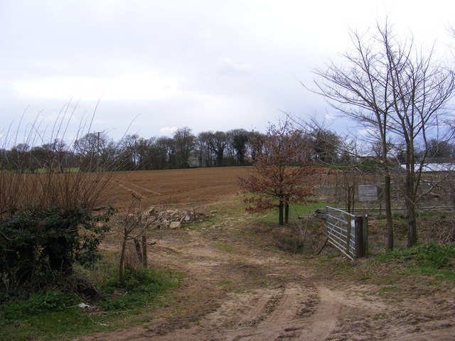 Footpath to Farnham