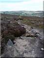 SK2378 : Footpath over Eyam Moor by Graham Hogg