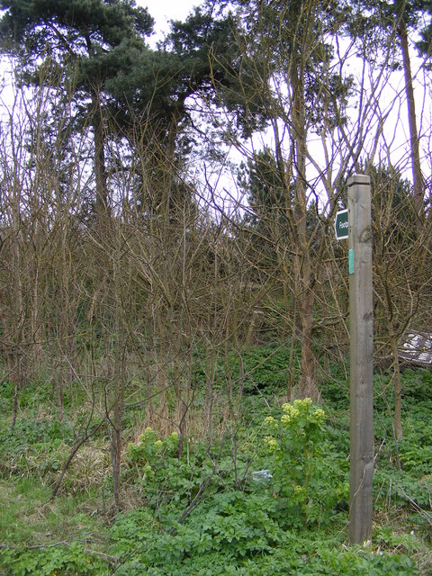 Footpath to the B1121 Main Road