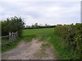 TM2963 : Footpath to the B1120 Badingham Road by Geographer