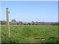 TM3463 : Footpath to Deadman's Lane by Geographer