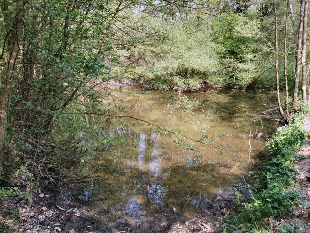 Fishpond near Foxhole Gill