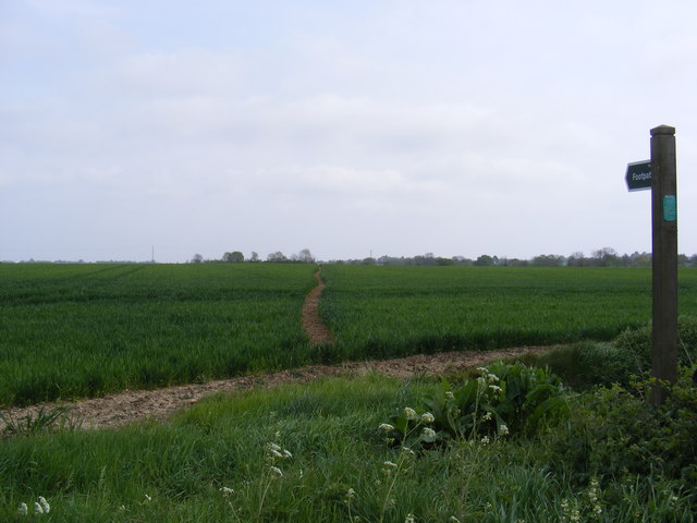 Footpath to Peppers Wash