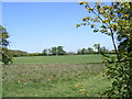 TM3459 : Footpath to Botany Lane by Geographer