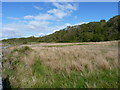 NS1657 : Raised beach, north of Fintray Bay by Richard Law