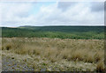 SN7955 : Tywi forest from Esgair Gors, Ceredigion by Roger  D Kidd