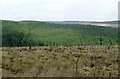 SN7955 : Tywi forest across Cefn Isaf and Bryn Mawr, Ceredigion by Roger  D Kidd