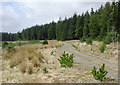 SN7854 : Tywi Forest road on Esgair Ganol, Ceredigion by Roger  D Kidd