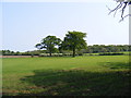 TM3359 : Footpath to Great Glemham Wood, Chapel Road & Botany Lane by Geographer