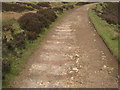 NZ6301 : The Rosedale Railway at Middle Head by Jonathan Thacker