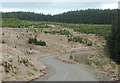 SN7853 : Tywi Forest road on Bryn Mawr, Ceredigion by Roger  D Kidd