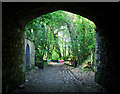 C0534 : Tunnel, Ballymore by Rossographer