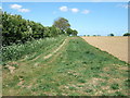 TF8134 : Track north of Barmer in Norfolk by Richard Humphrey