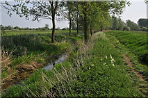  : Thames path near Hannington Wick by Philip Halling