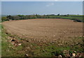 SS8911 : Tilled field near Thongsleigh by Derek Harper