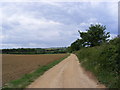 TM2955 : Footpath to Grove Farm & Grove Road by Geographer