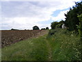 TM3056 : Footpath to the B1438 Snowdon Hill by Geographer