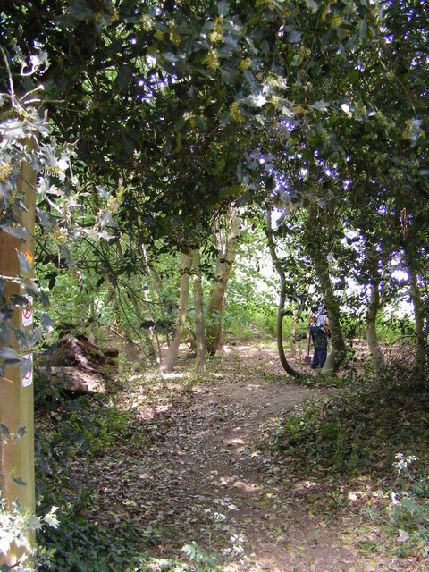 Footpath to Hill Farm & Martlesham Creek