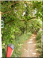 TM2547 : Footpath to Martlesham Creek by Geographer