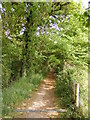 TM2547 : Footpath to Martlesham Creek by Geographer