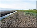 NY0843 : Allonby Beck by Rose and Trev Clough