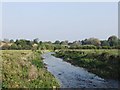 SU0212 : The River Allen, looking downstream towards Wimborne St Giles by Stefan Czapski