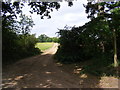 TM2956 : Bridleway to Hatcheston Lodge & B1116 The Street by Geographer