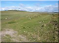 SX5673 : Former railway line, Foggintor by Derek Harper